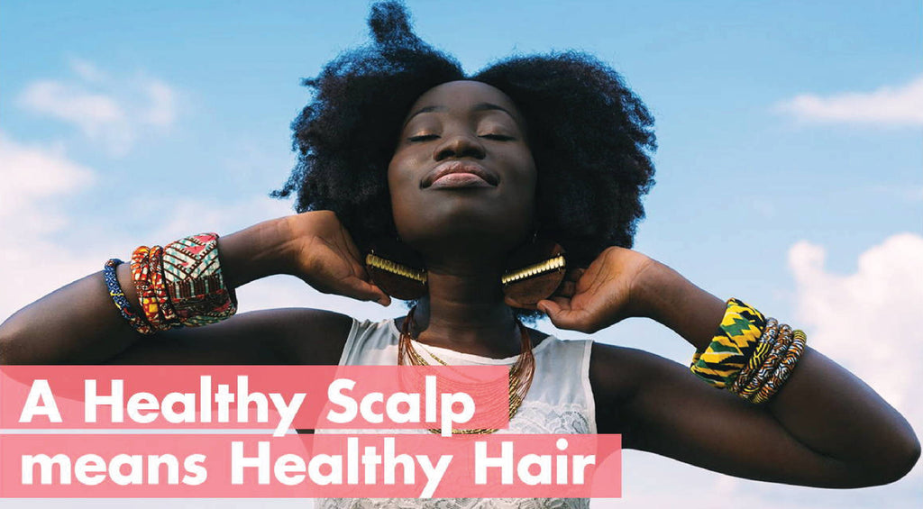 A Healthy Scalp Means Healthy Hair