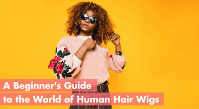 A Beginner's Guide to the World of Human Hair Wigs